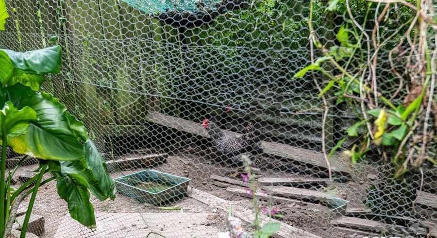  at 25 Prospect Terrace, Johnsonville, Wellington, Wellington