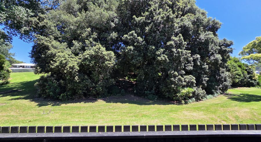  at 13  Torino Street, Point England, Auckland City, Auckland