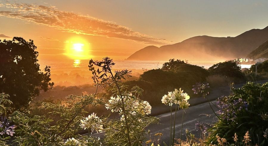  at 438 The Esplanade, Island Bay, Wellington, Wellington