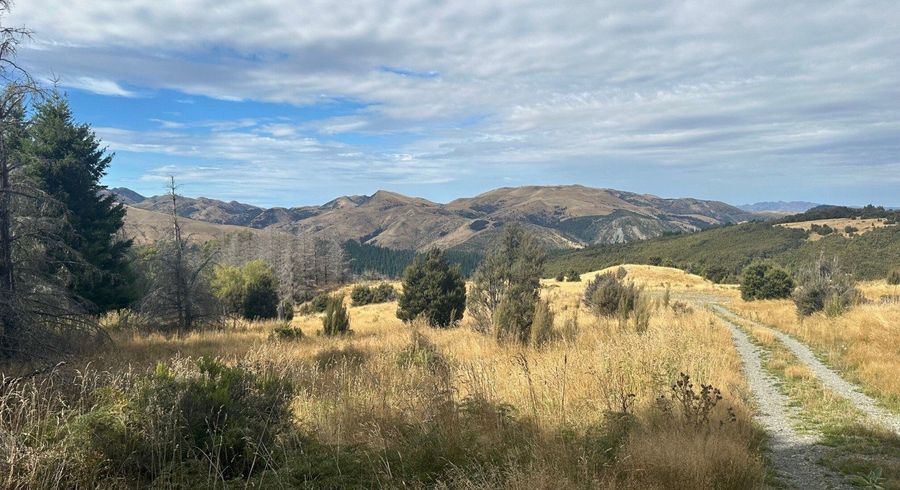  at 253 Mt Lyford Forest Drive, Waiau, Hurunui, Canterbury