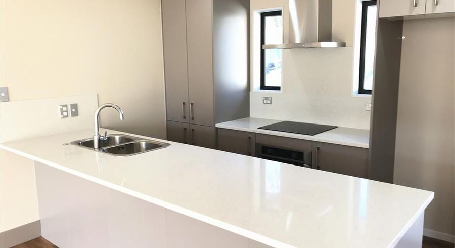  at 46E Universal Drive, Henderson, Waitakere City, Auckland