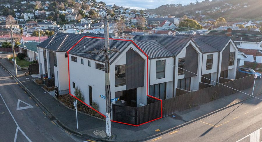 at 30 Thorn Street, Caversham, Dunedin, Otago
