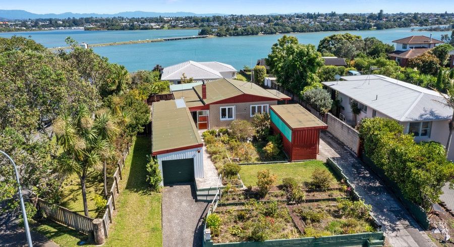  at 51 Ririnui Place, Maungatapu, Tauranga