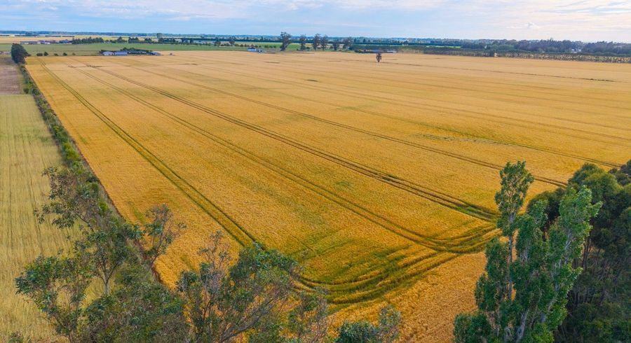  at 215 Falvey Road, Timaru, Timaru, Canterbury
