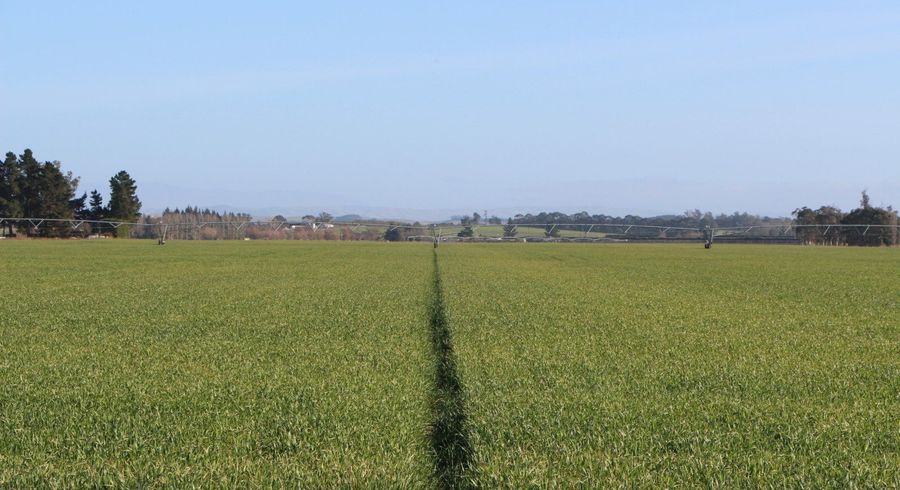  at 17 Divan Road, Levels, Timaru, Canterbury