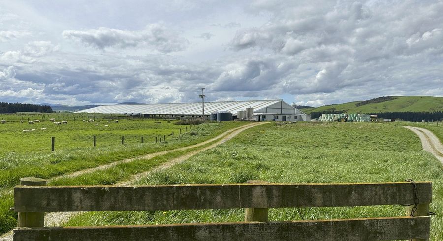  at 206 Mako Road, Hedgehope, Southland, Southland
