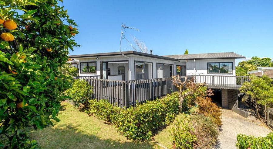  at 17 Hairini Street, Hairini, Tauranga