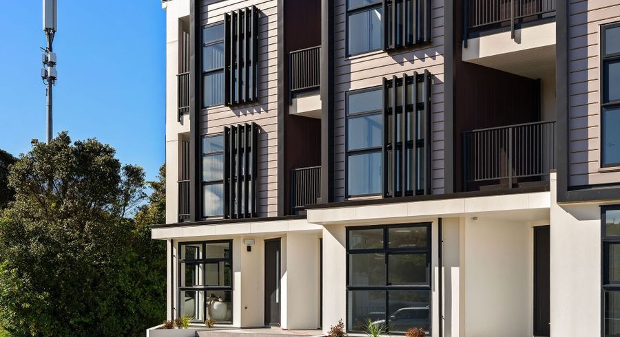  at 1/17 Atkinson Street, Newlands, Wellington, Wellington