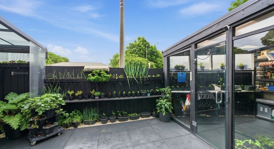  at 19 Whiteleigh Avenue, Addington, Christchurch