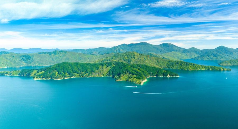  at Snake Point, Queen Charlotte Sounds, Marlborough, Marlborough