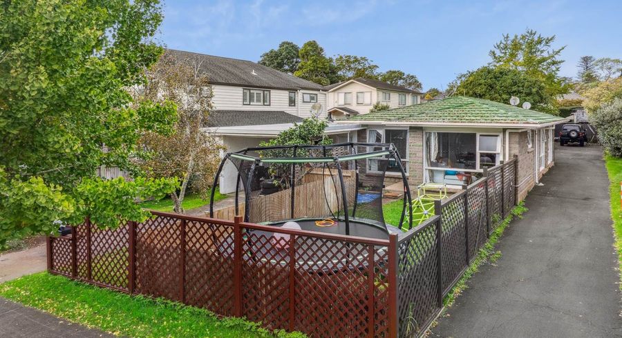  at 1/20, 2/20 & Springleigh Avenue, Mount Albert, Auckland City, Auckland
