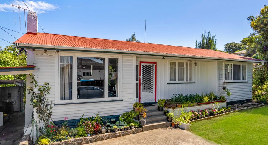  at 21 Carey Street, Maeroa, Hamilton, Waikato