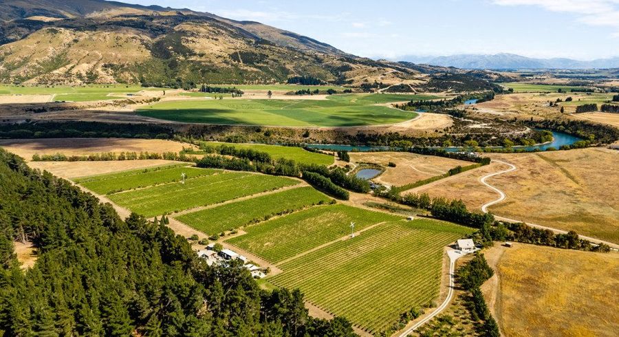  at 413 Maori Point Road, Tarras, Central Otago, Otago