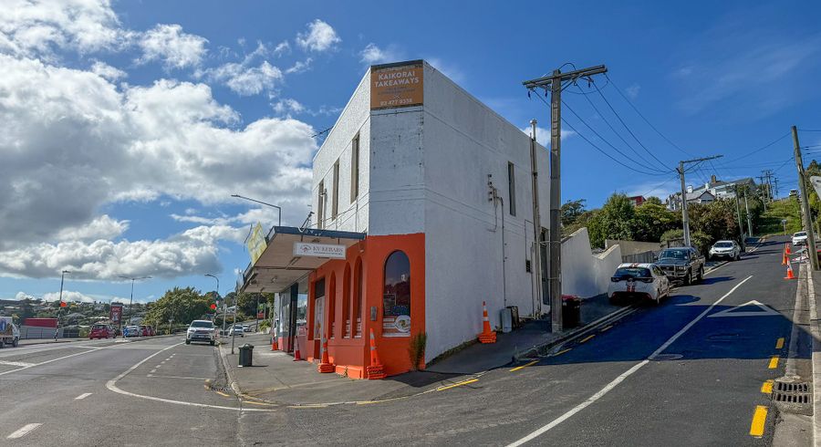  at 17A Hereford Street, Roslyn, Dunedin, Otago