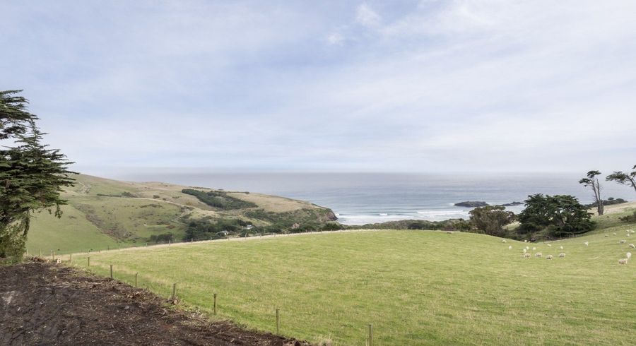  at 116 Centre Road, Ocean Grove, Dunedin, Otago