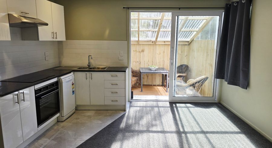  at 24D Balfour Street, Mornington, Wellington, Wellington