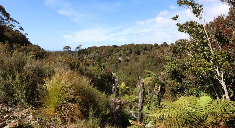  at 2/DP 3277 Brickfield Road, Hokitika, Westland, West Coast