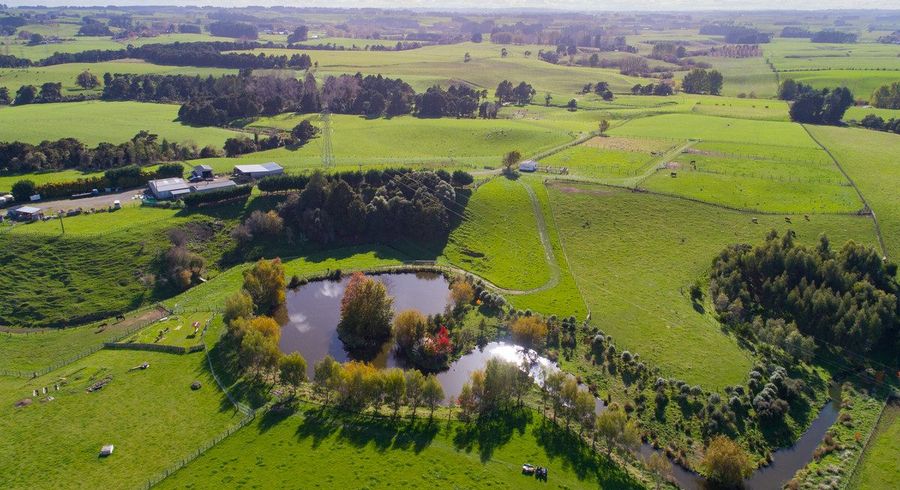  at 506 Sandon Road, Feilding, Manawatu, Manawatu / Whanganui