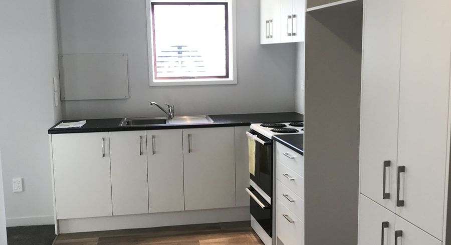  at 250A Manukau Rd, Epsom, Auckland City, Auckland