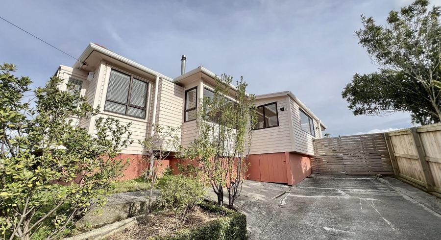  at 23 Potter Avenue, Mount Roskill, Auckland