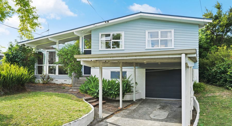  at 20 Patrick Place, Fitzroy, Hamilton