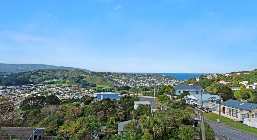  at 3 Havelock Street, Mornington, Wellington, Wellington