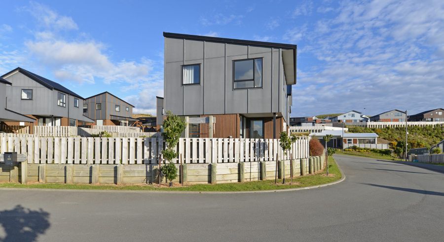  at 4 Astelia Way, Woodridge, Wellington, Wellington