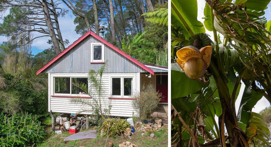  at 294 Tapu Coroglen Road, Tapu, Thames-Coromandel, Waikato