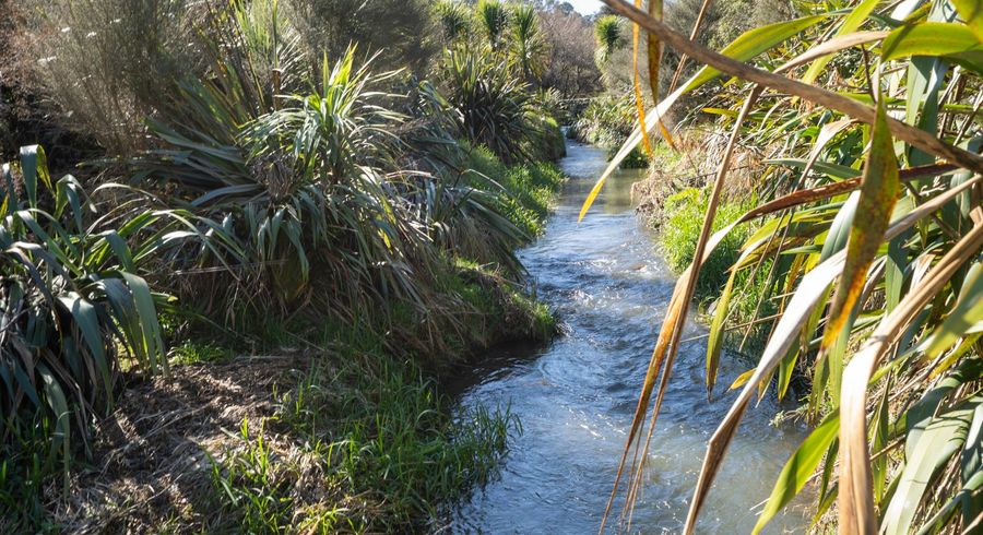  at 351 Scotsman Valley Road, Tauwhare, Waikato, Waikato