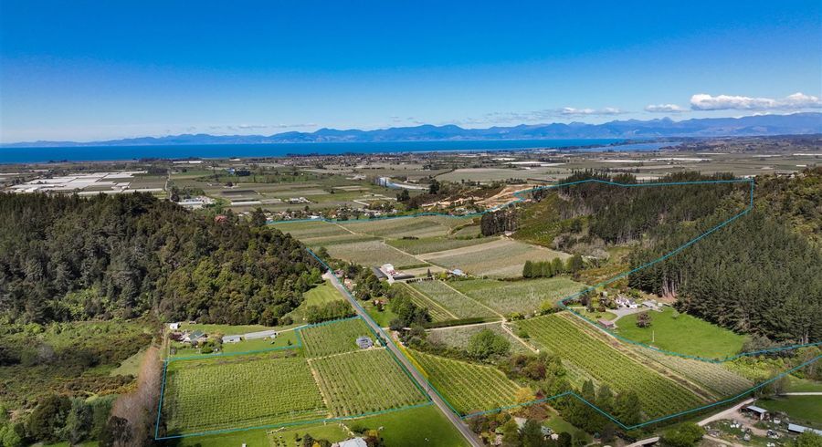  at 85 Brooklyn Valley Road, Riwaka, Tasman, Nelson / Tasman