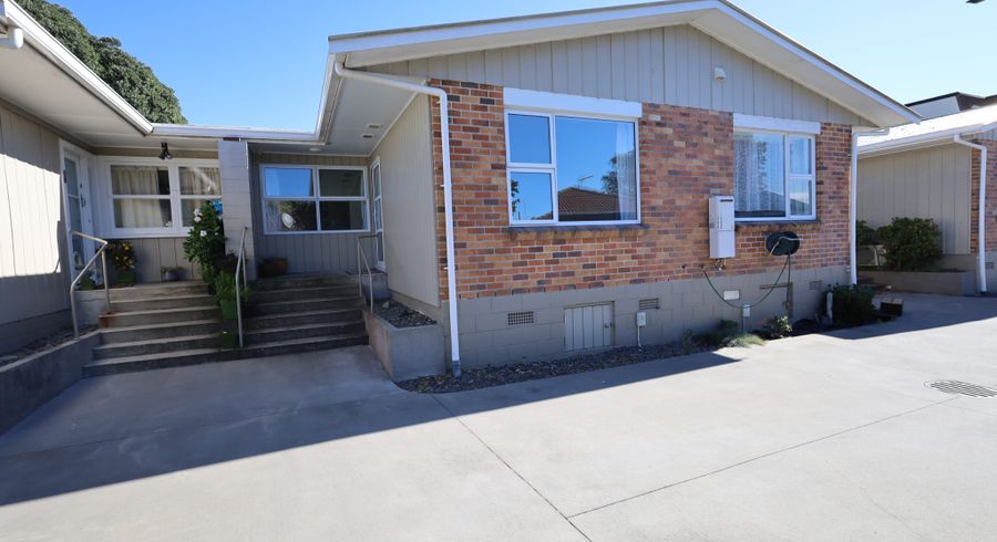  at 146 Spring Street, Tauranga, Tauranga