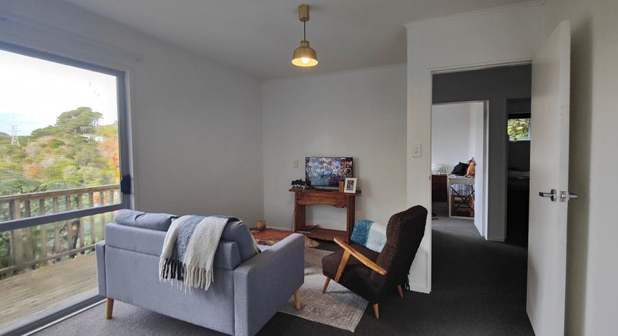  at 164B Raroa Road, Aro Valley, Wellington, Wellington