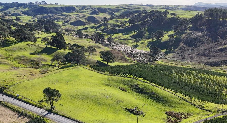  at 320A Babylon Coast Road, Dargaville, Kaipara, Northland