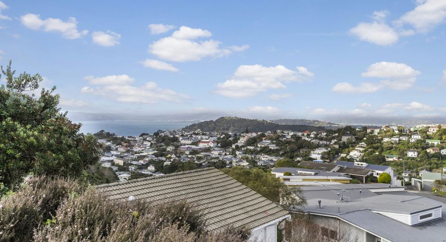  at 149 Mitchell Street, Brooklyn, Wellington