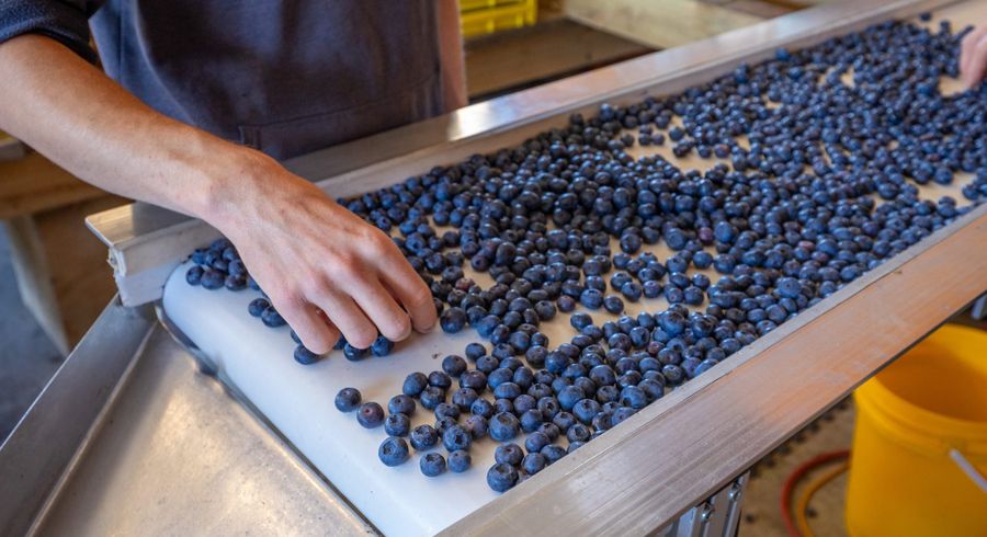  at 160 Tadmor Valley Road, Tapawera, Tasman, Nelson / Tasman