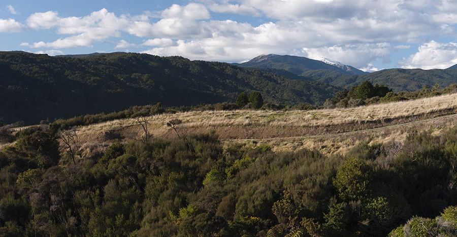  at Raikes Road, Kaitoke, Upper Hutt, Wellington