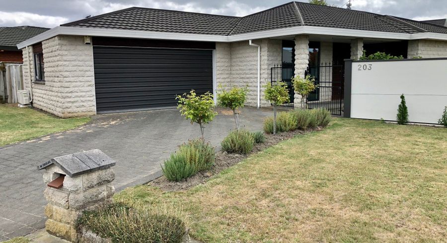  at 203 Auckland Road, Greenmeadows, Napier, Hawke's Bay