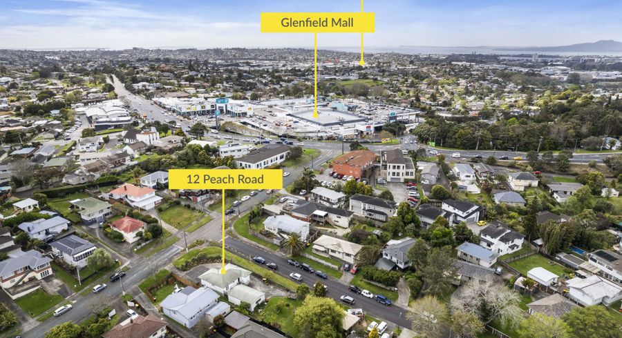  at 12 Peach Road, Glenfield, Auckland