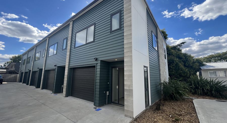  at 3/161 Nixon Street, Hamilton East, Hamilton, Waikato