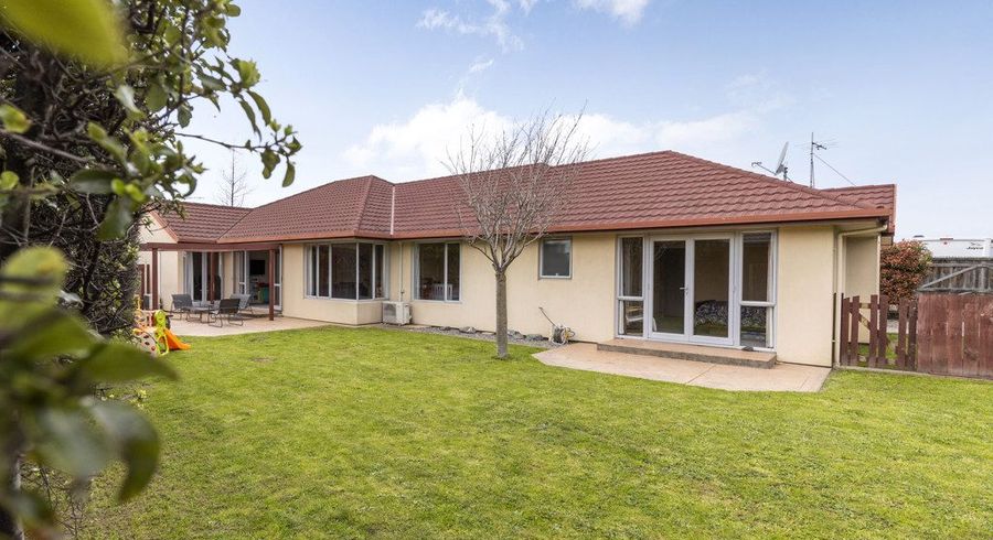  at 17 Kendon Street, Witherlea, Blenheim