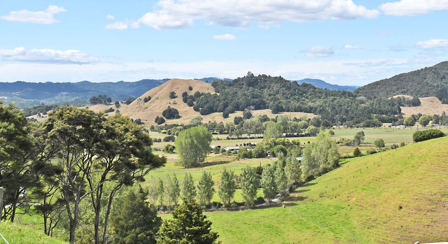  at 121 Guy Road, Kaipara Flats, Kaipara Flats