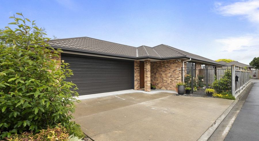  at 219 College Street, West End, Palmerston North