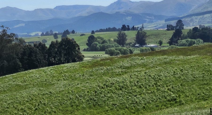  at 116 Burraness Street, Palmerston, Waitaki, Otago