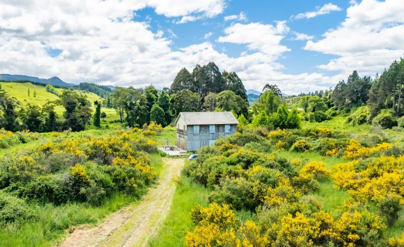  at 542 Tadmor-Glenhope Road, Tadmor