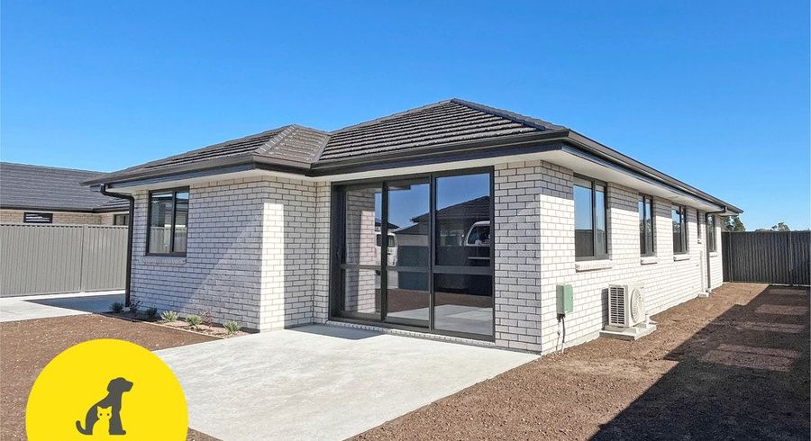  at 31 Morningside Lane, Rockdale, Invercargill, Southland