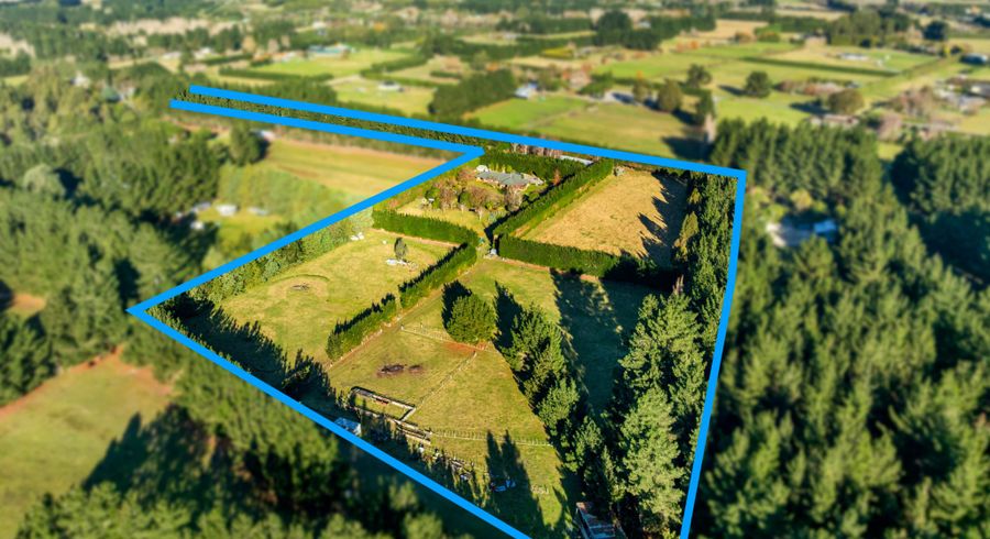  at 29 Scarlet Oak Drive, Christchurch