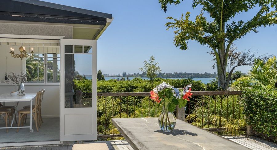  at 44 Harvey Street, Avenues, Tauranga, Bay Of Plenty