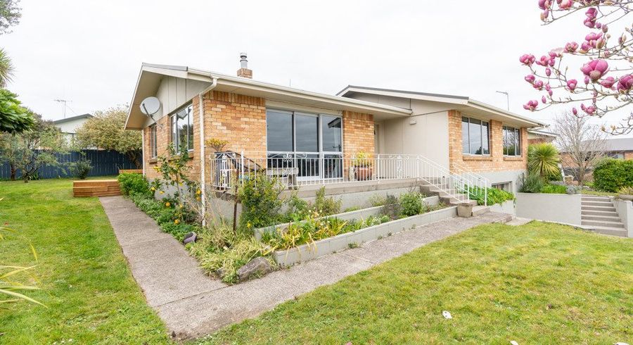  at 6 Thomson Avenue, Dinsdale, Hamilton