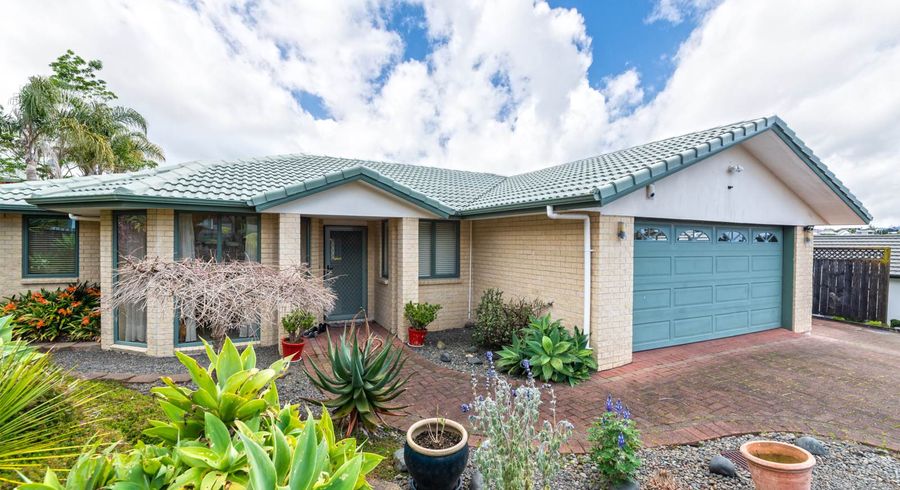  at 29 San Pedro Place, Henderson, Auckland