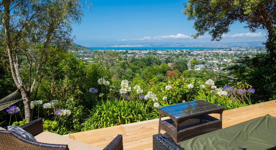  at 14 Adams Road, Whataupoko, Gisborne